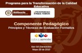 Componente Pedagógico Principios y Técnicas de Evaluación Formativa San Gil (Santander) Mayo 28 de 2013 Programa para la Transformación de la Calidad Educativa