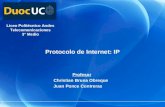 Protocolo de Internet: IP Liceo Politécnico Andes Telecomunicaciones 3° Medio Profesor Christian Bruna Obreque Juan Ponce Contreras.