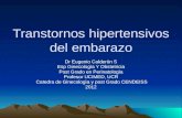 Transtornos hipertensivos del embarazo Dr Eugenio Calderòn S Esp Ginecologìa Y Obstetricia Post Grado en Perinatologìa Profesor UCIMED, UCR Catedra de.