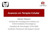 Avances en Terapia Celular Héctor Mayani Unidad de Investigación Médica en Enfermedades Oncológicas Hospital de Oncología, CMN SXXI Instituto Mexicano.