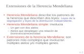 Herencia Mendeliana describe los patrones de la herencia que describen dos leyes: Leyes de la segregación y leyes de la distribución independiente. Herencia.