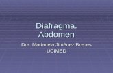 Diafragma. Abdomen Dra. Marianela Jiménez Brenes UCIMED.