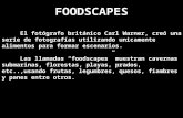 FOODSCAPES El fotógrafo británico Carl Warner, creó una serie de fotografías utilizando unicamente alimentos para formar escenarios. Las llamadas “foodscapes”