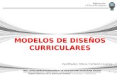 1 MODELOS DE DISEÑOS CURRICULARES Facilitador: Mario Cañasto Huanca.