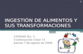INGESTIÓN DE ALIMENTOS Y SUS TRANSFORMACIONES UNIDAD No. 3 Continuación Clase 11 Jueves 7 de agosto de 2008 1.