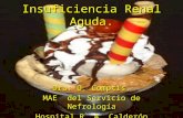 Insuficiencia Renal Aguda. Dra: O. Comptis. MAE del Servicio de Nefrología Hospital R. A. Calderón Guardia.