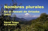 En el nawatl de Orizaba (nlv) David Tuggy ILV-Mexico.