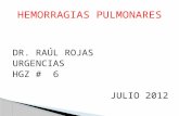 DR. RAÚL ROJAS URGENCIAS HGZ # 6 JULIO 2012.  EL HEMOTÓRAX, ES UNA ACMULACIÓN DE SANGRE EN EL ESPACIO PLEURAL GENERALMENTE SECUNDARIO A UN TRAUMATISMO.