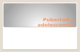 Pubertad y adolescencia PUBERTAD La pubertad, adolescencia inicial o adolescencia temprana es la primera fase de la adolescencia y de la juventud, normalmente.