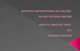 INTITUTO UNIVERSITARIO DE CALDAS TALLER SISTEMA INMUNE MAICOL GIRALDO TORO 8-C ANDREA ALVAREZ.