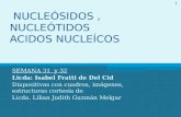 NUCLEÓSIDOS, NUCLEÓTIDOS ACIDOS NUCLEÍCOS SEMANA 31 y 32 Licda: Isabel Fratti de Del Cid Diapositivas con cuadros, imágenes, estructuras cortesía de Licda.