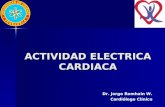 ACTIVIDAD ELECTRICA CARDIACA Dr. Jorge Romhain W. Cardiólogo Clínico.