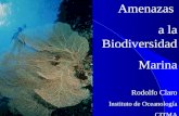 Amenazas a la Biodiversidad Marina Rodolfo Claro Instituto de Oceanología CITMA.