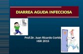 DIARREA AGUDA INFECCIOSA Prof.Dr. Juan Ricardo Cortés HSR 2015 Prof.Dr. Juan Ricardo Cortés HSR 2015.