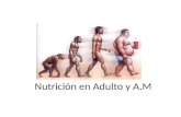Nutrición en Adulto y A.M. Alimentación Mediante la alimentación, no sólo incorporamos al cuerpo los nutrientes necesarios, sino que también satisface.