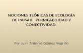 NOCIONES TEÓRICAS DE ECOLOGÍA DE PAISAJE, PERMEABILIDAD Y CONECTIVIDAD. Por Juan Antonio Gómez Negrillo.