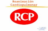 Reanimación Cardiopulmonar Dr. A. Sergio Saracco Instructor RCP Plan de Emergencias Médicas y Catástrofes Gobierno de Mendoza.