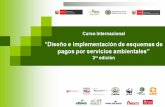 Fondos públicos para el financiamiento de la conservación de bienes y servicios ambientales Curso “Diseño e Implementación de Esquemas de Pagos por Servicios.