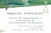 Negocios Forestales Taller de capacitación a ejecutivos de instituciones financieras Pablo Pinell – The Amazon Alternative. Santa Cruz, 28 de junio de.