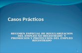 1 Casos Prácticos REGIMEN ESPECIAL DE REGULARIZACION DEL EMPLEO NO REGISTRADO Y PROMOCION Y PROTECCION DEL EMPLEO REGISTRADO 1.