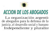 Anteproyecto Modificación Ley 1181 La solución de ACCION DE LOS ABOGADOS Para CASSABA.