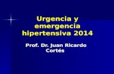 Urgencia y emergencia hipertensiva 2014 Prof. Dr. Juan Ricardo Cortés.