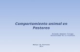 Comportamiento animal en Pastoreo Rolando Demanet Filippi Universidad de La Frontera Manejo de Pastoreo 2014.