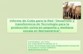 Informe de Cuba para la Red “Desarrollo y transferencia de Tecnología para la producción ovina en pequeña y mediana escala en Iberoamérica”. Coordinadora.