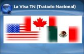 La Visa TN (Tratado Nacional). Visas para Trabajadores Mexicanos Profesionistas bajo el TLCAN – El Tratado de Libre Comercio de América del Norte (TLCAN)