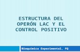 ESTRUCTURA DEL OPERÓN LAC Y EL CONTROL POSITIVO Bioquímica Experimental, FQ.