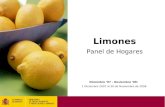 Limones Panel de Hogares Diciembre ’07 – Noviembre ’08: 1 Diciembre 2007 al 30 de Noviembre de 2008.