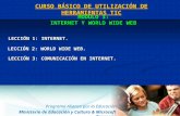 Programa Alianza por la Educación Ministerio de Educación y Cultura & Microsoft Paraguay CURSO BÁSICO DE UTILIZACIÓN DE HERRAMIENTAS TIC MÓDULO 3: INTERNET.