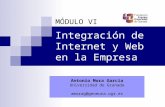 Integración de Internet y Web en la Empresa MÓDULO VI Antonio Mora García Universidad de Granada amorag@geneura.ugr.es.