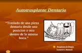 Autotrasplante Dentario “Traslado de una pieza dentaria desde una posicion a otra dentro de la misma boca.” Trasplantes de Dientes. Leonard E. Shulman.
