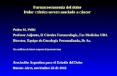 Farmacoeconomía del dolor Dolor crónico severo asociado a cáncer Pedro M. Politi Profesor Adjunto, II Cátedra Farmacología, Fac Medicina UBA Director,