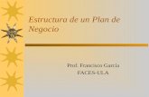 Estructura de un Plan de Negocio Prof. Francisco García FACES-ULA.