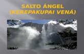 Salto Ángel es el mas grande salto de agua del mundo, con una altura de 979 m. Esta caída se sitúa en la municipalidad de Gran Sabana a Venezuela. Bajo.