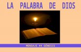 MENSAJE #4 GÉNESIS LA PALABRA DE DIOS EL LIBRO DEL GÉNESIS TIENE 50 CAPÍTULOS Y SE DIVIDE EN DOS GRANDES PARTES. La primera (Capítulos 1-11) presenta.