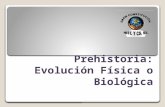 Prehistoria: Evolución Física o Biológica. La Prehistoria y las Primeras Culturas La historia de la humanidad es tan larga que los historiadores la “hemos.