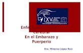 Enfermedad Vascular Cerebral En el Embarazo y Puerperio Dra. Minerva López Ruiz.