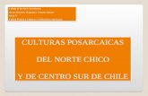 CULTURAS POSARCAICAS DEL NORTE CHICO Y DE CENTRO SUR DE CHILE CULTURAS POSARCAICAS DEL NORTE CHICO Y DE CENTRO SUR DE CHILE Colegio de los SSCC Providencia.