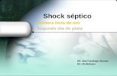 Shock séptico Primera hora de oro Segundo día de plata DR. Abel Santiago Alvarez R3. HC.Bidasoa.