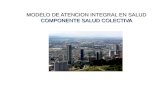 MODELO DE ATENCION INTEGRAL EN SALUD COMPONENTE SALUD COLECTIVA.