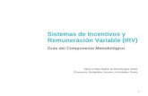 1 Sistemas de Incentivos y Remuneración Variable (IRV) Guía del Componente Metodológico Aplica el Meta Modelo de Metodologías CEIAR (Conceptos, Entregables,