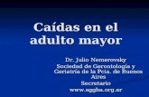 Caídas en el adulto mayor Dr. Julio Nemerovsky Sociedad de Gerontología y Geriatría de la Pcia. de Buenos Aires Secretario.
