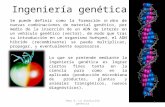 Tema 4: La revolución genética1 Ingeniería genética Se puede definir como la formación in vitro de nuevas combinaciones de material genético, por medio.