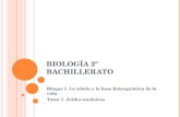 B IOLOGÍA 2 º BACHILLERATO Bloque I. La célula y la base fisicoquímica de la vida Tema 7. Ácidos nucleicos.