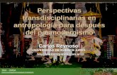 Perspectivas transdisciplinarias en antropología para después del posmodernismo Carlos Reynoso UNIVERSIDAD DE BUENOS AIRES .