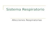 Sistema Respiratorio Afecciones Respiratorias. Infecciones Respiratorias Altas Resfrío común – Habitualmente causado por los rinovirus. Entre las manifestaciones.
