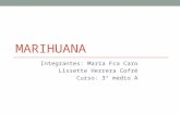 MARIHUANA Integrantes: María Fca Caro Lissette Herrera Cofré Curso: 3° medio A.